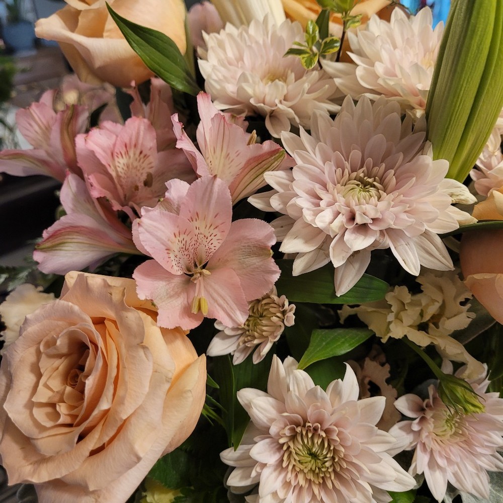 Meet your Posher, Sarah